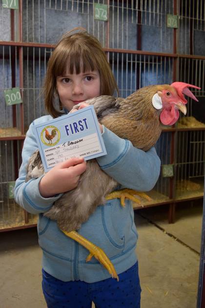 Poultry show winner